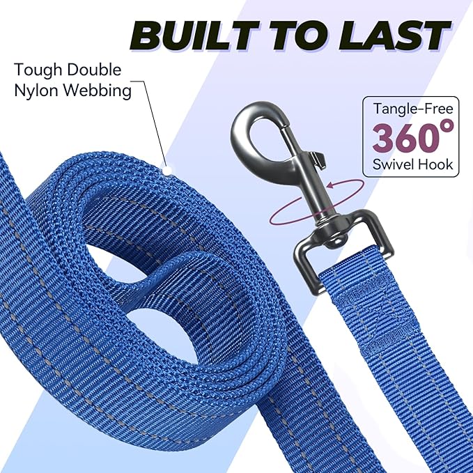 VIVAGLORY Twingrip Dog Leash, Double Handle Dog Leash for Training & Walking with Traffic Handle & 2 Loop, Traffic Control Reflective Heavy Duty for Puppy Pet, 5ft x 1in, Blue