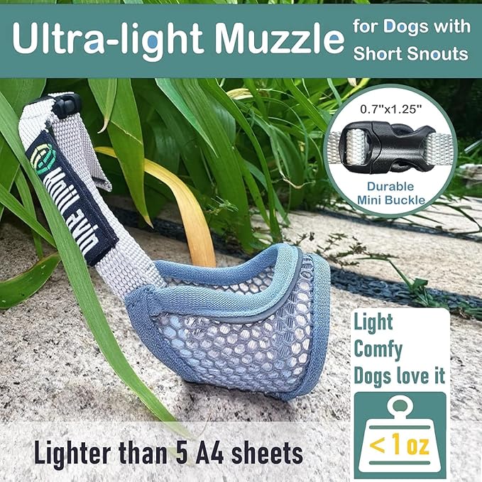 Dog Muzzle for Small Medium Dogs to Prevent Biting for Brachycephalic Dogs with Short Snout,Chihuahua Pom Shih Tuz,Soft Breathable Lightweight Mesh,Open Front,for Grooming Vet Visits (Mint Blue, XS)