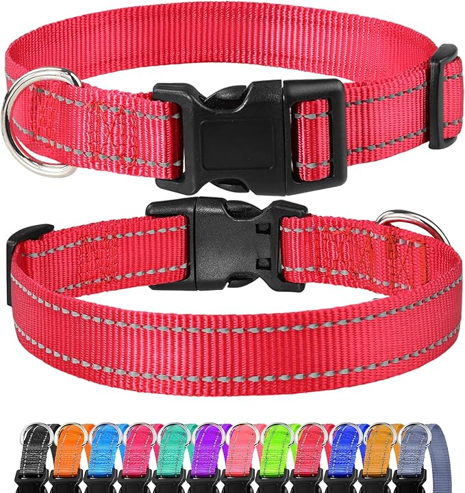 FunTags Reflective Dog Collar, Sturdy Nylon Collars for Small Girl and Boy Dogs, Adjustable Dog Collar with Quick Release Buckle, Red