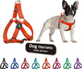 Kruz No Pull Dog Harness (Chest 21”-30”, Weight 23-53 lbs) Heavy-Duty Pet Harness for Medium Breeds, Ultra-Comfort Fit, Lifetime Durability, Adjustable Dog Harness No Pull Design (Orange, Medium)