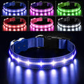 PcEoTllar Light Up Dog Collars, Led Dog Collar, Rechargeable, Night Walking, Waterproof, Glow in The Dark Dog Collars Light for Large Small Medium Dogs, Blue s