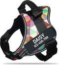 Personalized No Pull Dog Harness with Custom Name and Phone Number by PawPawify, Heavy Duty Pet Vest to Prevent Tugging, Pulling, or Choking, Training and Walking XXL Chest 33-46in Color Grid