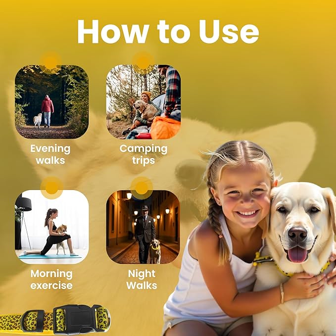 Leopard Dog Collar - Glow in The Dark USB Collar with Rechargeable Battery + Waterproof Design - Light Up Dog Collar - Yellow (Medium Size)