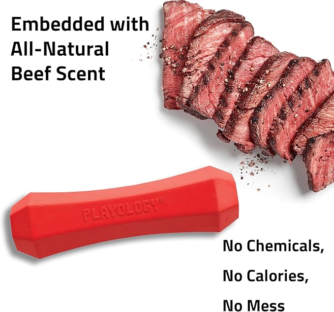 Playology Dog Toys | Durable Squeaky Chew Stick for Dogs | Jumbo Beef Scented Toy - Easy to Clean and Made from Non Toxic Materials