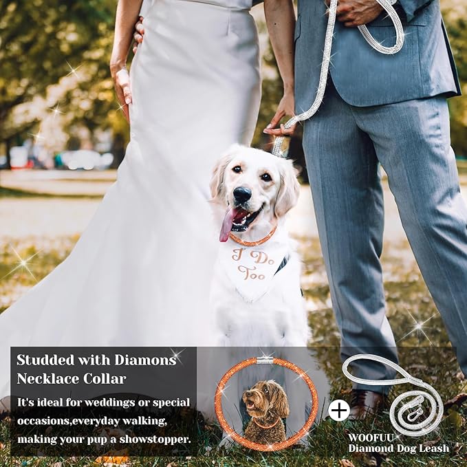 Stylish and Luxurious Diamond Dog Collar,Magnetically Absorbent Clasp,Full Diamond Design,Perfect for Wedding and Everyday Walking - Rose Red Diamons Necklace Collar for Small Dogs,14''