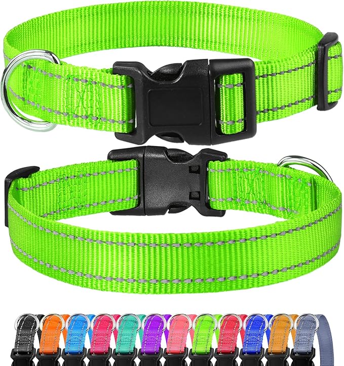 FunTags Reflective Dog Collar, Sturdy Nylon Collars for Puppy and Extra Small Girl and Boy Dogs, Adjustable Dog Collar with Quick Release Buckle,Green,3/8" Width