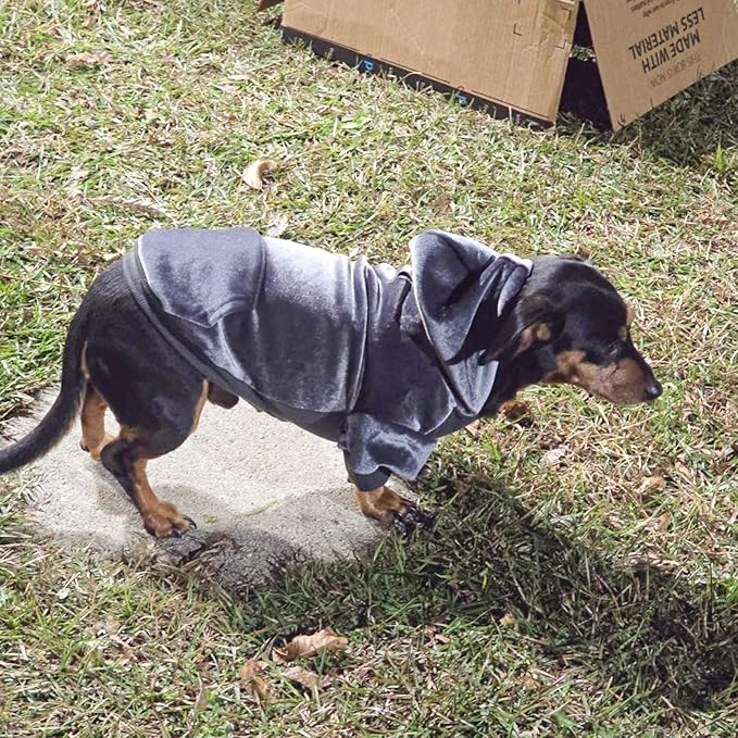 BEAUTYZOO Dog Hoodie Sweaters for Small Medium Dogs- Warm Fall Winter Fleece Jacket for Cold Weather, Soft Velour Hooded Coat with Leash Hole & Pocket, Puppy Sweatshirt Clothes Bulldog Schnauzer, Grey