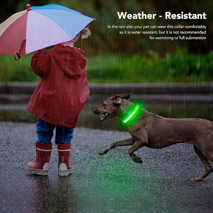 LED Light Up Dog Collars Micro USB Rechargeable Waterproof, Full Adjustable Lighted Glow Dark Dog Collar Light for Night Walking for Small Medium Large Dogs, Green