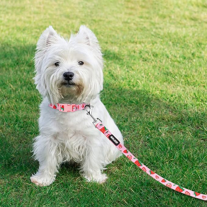 azuza Fruit Dog Collar and Leash Set, Collar Nylon and Matching Leash, Great Option for Small Medium Large Dogs, Strawberry, S (Neck: 11"-16")