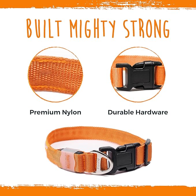 Mighty Paw LED Dog Collar - USB LED Rechargeable - USB Rechargeable Light - High Visibility Glow Strips - Glow Pet Feature - Weather Resistant - Bright Light Modes for Nighttime Safety - (L - Orange)