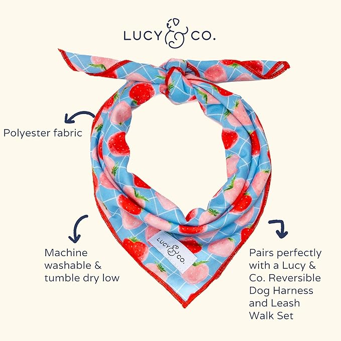 Lucy & Co. Fresh Berries Bandana - Durable Comfortable Dog Bandana - Machine Washable - Designer Puppy Accessory - Large Blue Strawberries