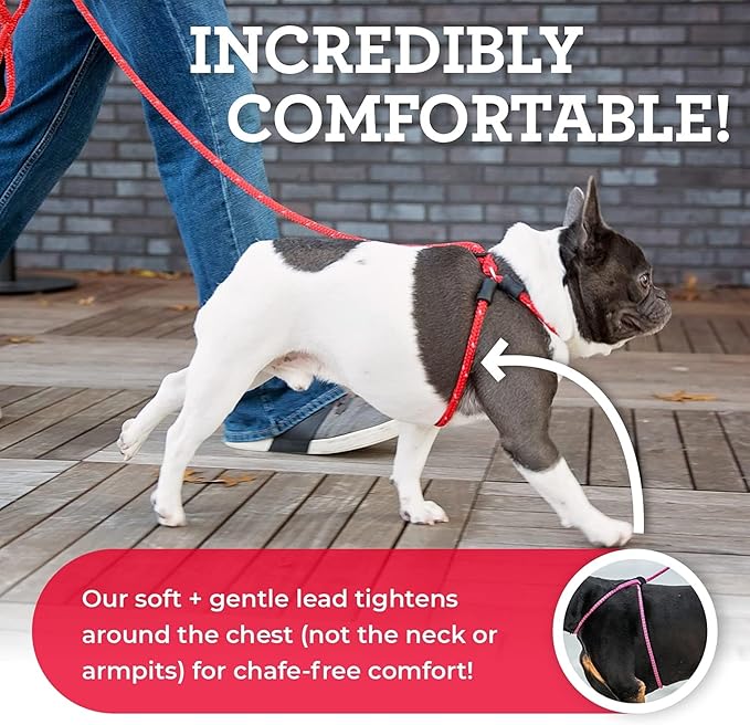 Harness Lead No Pull Dog Harness and Leash Set, Anti Pull Dog Harness, One-Piece Cushioned Rope Safely Prevents Escaping and Pulling *New Insert is Removable (Medium/Large, Reef)