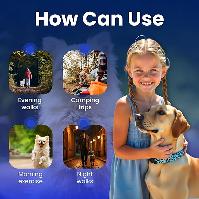Leopard Dog Collar - Glow in The Dark USB Collar with Rechargeable Battery + Waterproof Design - Light Up Dog Collar - Blue (Large Size)