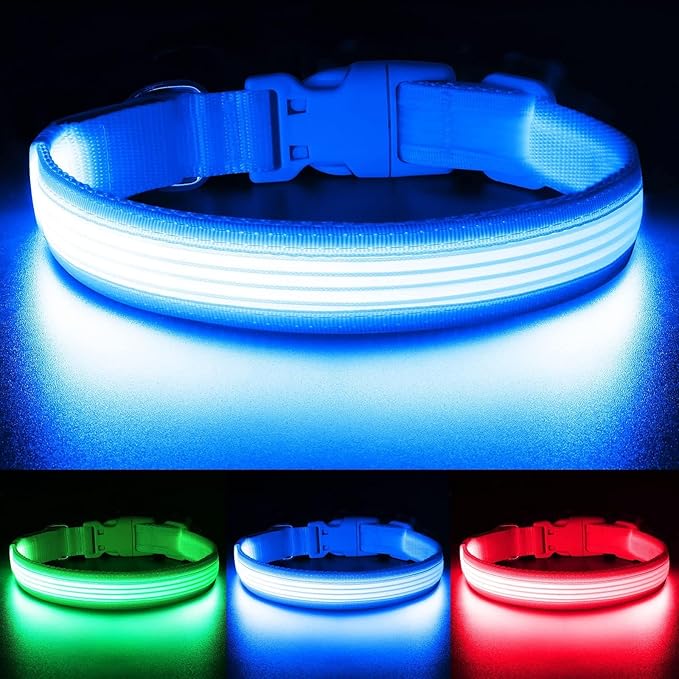 YFbrite Light up Dog Collar, USB Rechargeable LED Puppy Collar Super Bright Adjustable Glowing Dog Lights for Night Walking (Design-2- Blue, Small)