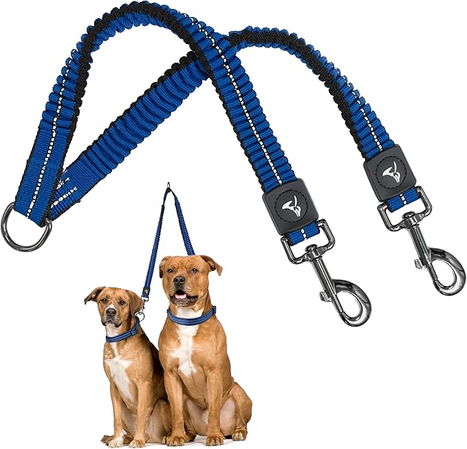 Kruz Double Dog Leash for Two Dogs (Width - 1”, Length 20”-42”) Dual Leash Coupler with Tangle-Free Swivel, Shock-Absorbing Reflective Bungee for Comfortable Walking & Training (Blue, Large)