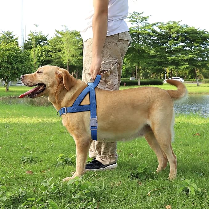 No Pull Dog Harness, Reflective Puppy Harness with Soft Padded Handle, Escape Proof/Quick Fit Adjustable Pet Harness for Small Medium Large Dogs, Easy for Training Walking (Blue, XS)