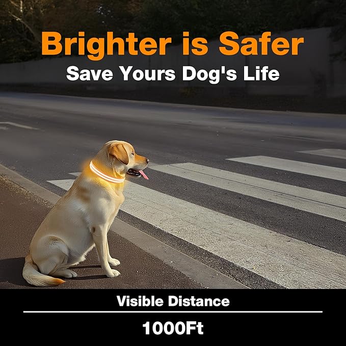 LED Dog Collar, Light Up Dog Collar, Lighted Dog Collars Adjustable for Night Walking, Glow in The Dark Dog Collars Light with USB Rechargeable Color Changing Waterproof for Dogs (Orange, Small)