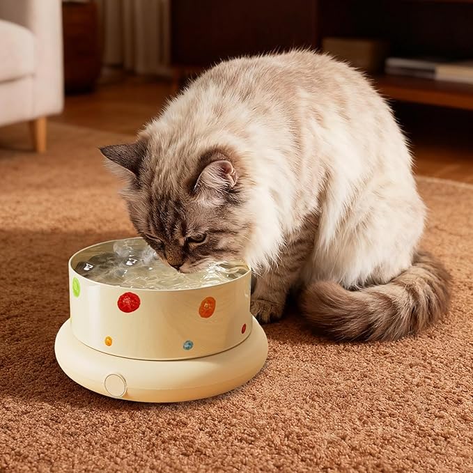 Temperature Control Heated Dog Bowl, Large Automatic Thermal Pet Food & Water Dish Heater for Winter, Safe for Cat Dorm Apartment Living Room Balcony Porch (S)