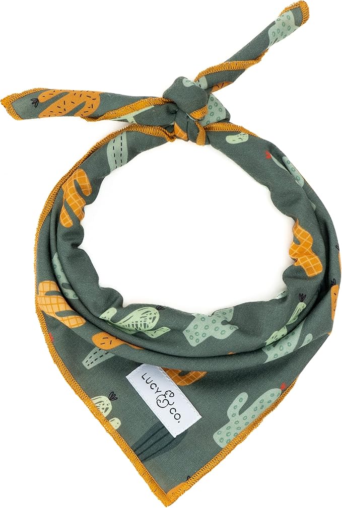 Lucy & Co. Looking Sharp Bandana - Durable Comfortable Dog Bandana - Designer Puppy Accessory - Machine Washable - Small Green Gold Cactus