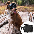 Rex Specs V2 Dog Goggles (X-Small, Black)