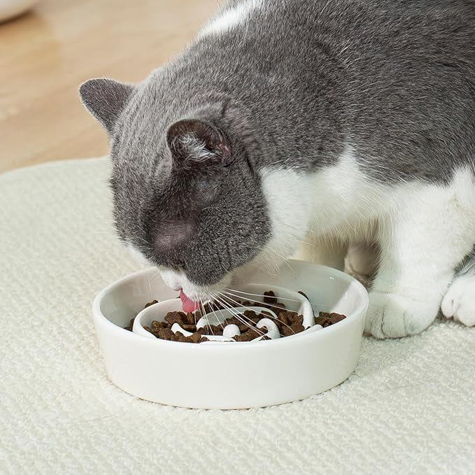 TRUVIC Ceramic Slow Feeder Dog Bowls Small Breed, 0.6 Cup Slow Feeder Cat Bowls for Fast Eaters, Ceramic Dog Food Dish no Black Chin, Puzzle Bowl for Small Dogs and Cats, White