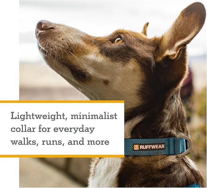 Ruffwear, Hi & Light Dog Collar, Ultralight Quick Release Buckle, Adjustable Trail Running Polyester Collar with Silent ID Attachment, Alpenglow Pink, 20"-26"