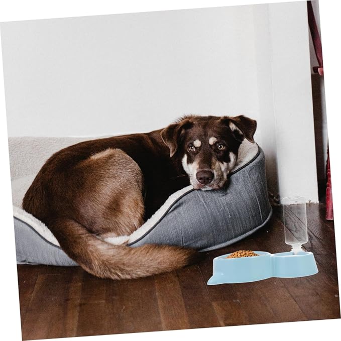 Happyyami 1pc Automatic Dog Water Dispenser Pet Feeding Tool Bowl for Dogs and Cats Capacity Easy to Dual Use Water Food Container Cat Ear Design