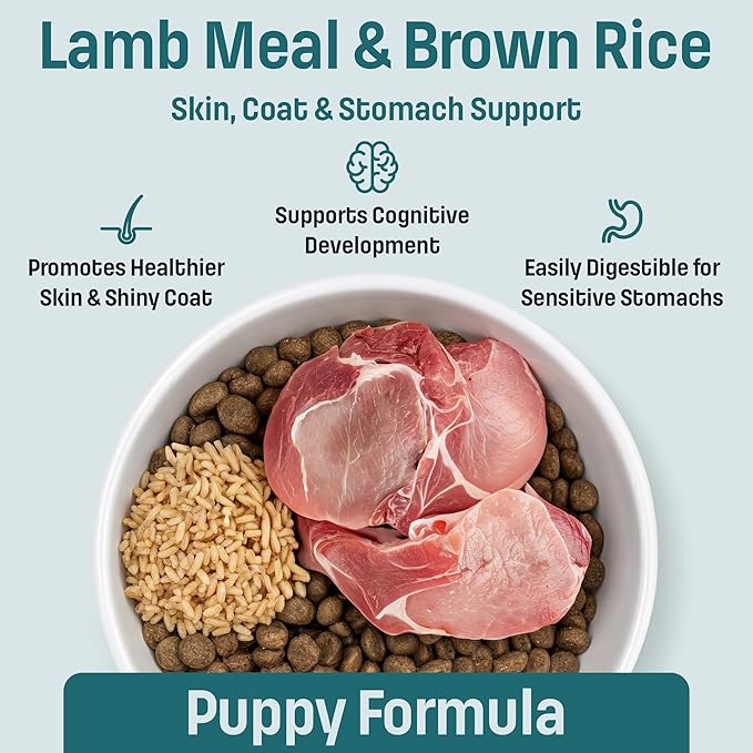 I14 Puppy Dog Food with Lamb & Brown Rice - Skin, Coat & Sensitive Stomach Dog Food with Pumpkin, Omega-3 Rich Salmon Oil & Flaxseed for Shiny Coat & Immunity - Chicken Free Puppy Food (25 lb)