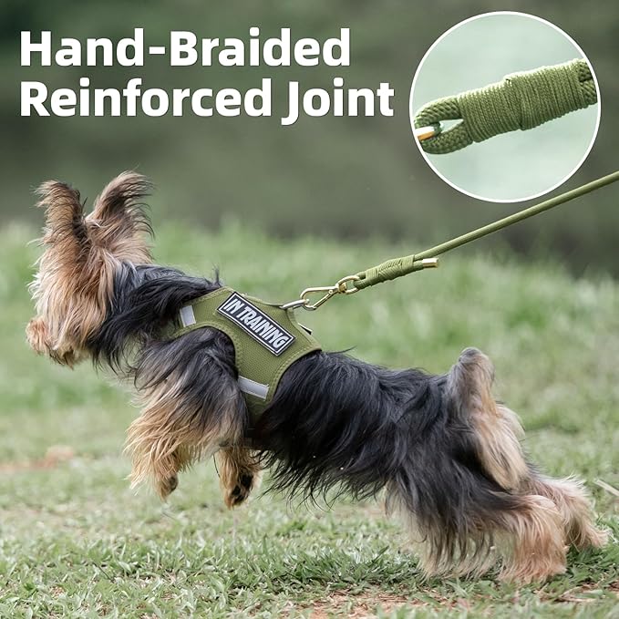 Durable Handwoven Dog Leash for Small & Medium Dogs, 5/16 inch Rope Lead with Anti-Tangle Swivel Clip, Soft & Lightweight, 5FT Long – Ideal for Daily Walking & Training (Misty Green)