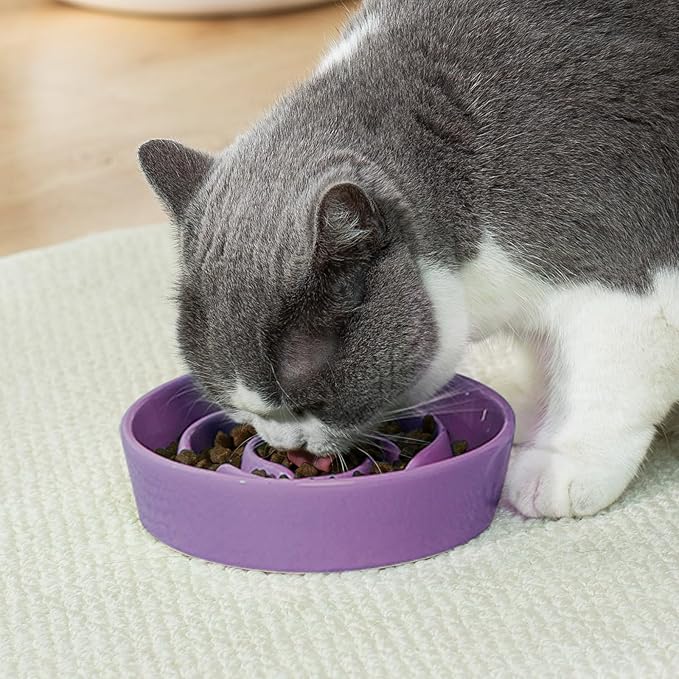 TRUVIC Ceramic Slow Feeder Dog Bowls Small Breed, 0.6 Cup Slow Feeder Cat Bowls for Fast Eaters, Ceramic Dog Food Dish no Black Chin, Puzzle Bowl for Small Dogs and Cats, Purple