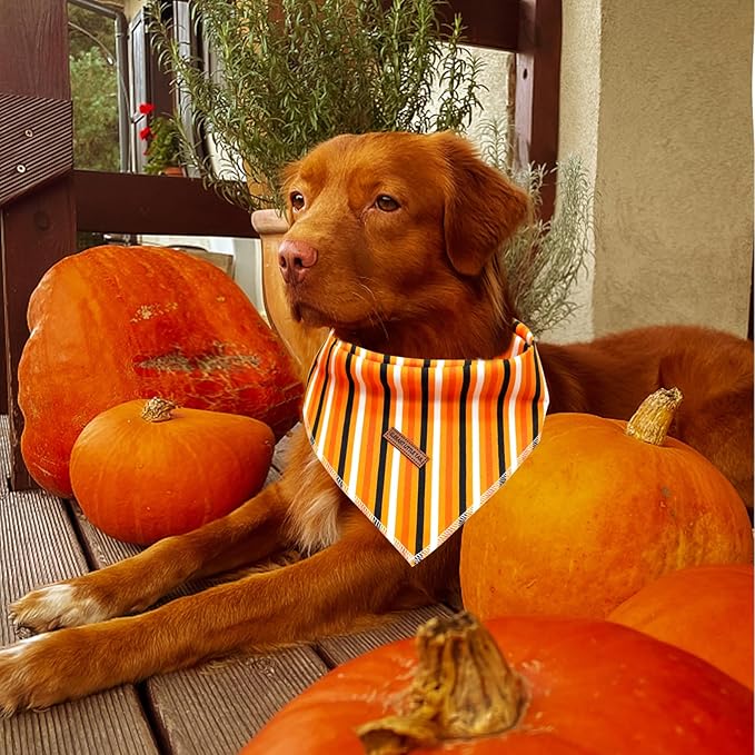 Elegant little tail Fall Dog Bandana, 1PC Girl Boy Dog Bandanas Halloween Bib Scarf Soft Washable Square Dog Scarf Adjustable Dog Kerchief for Small Medium Large Dogs