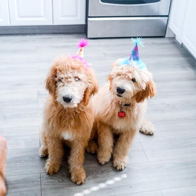 Huxley & Kent Pet Party Hat for Dogs & Cats - Fun Birthday Hat with SnugFit Adjustable Straps - Comfy Pet Costume Accessory for Parties, Gotcha Days & Celebrations - Pink, Large