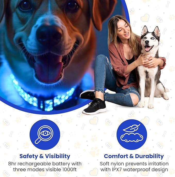 Leopard Dog Collar - Glow in The Dark USB Collar with Rechargeable Battery + Waterproof Design - Light Up Dog Collar - Blue (Large Size)