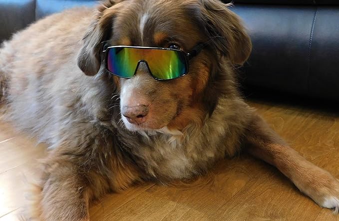 G010 Dog Pet Turbo Sports Sunglasses Medium Breeds 20-40 lbs (Sports Turbo Black-Rainbow Mirror)