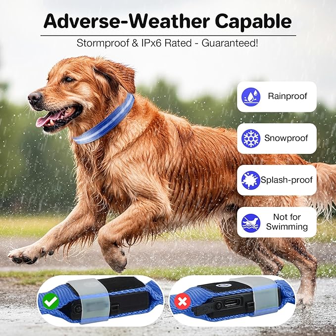 Light Up Dog Collar, USB Rechargeable 6 Modes, Waterproof Charging Port, Long Lasting LED Collar - Adjustable Nylon Reflective for Dogs, Sizes S/M/L (7/9/11 Lights) - 5 Colors (Blue, L)