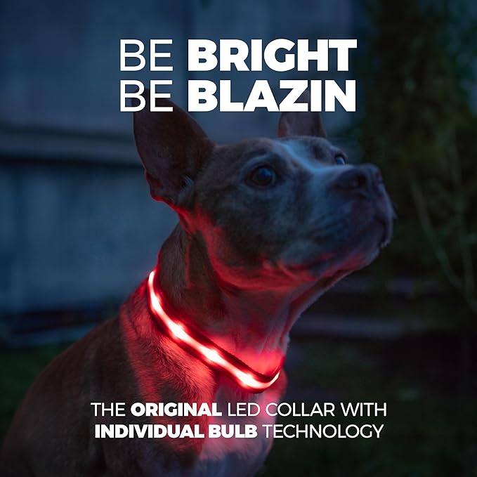 Blazin Light Up Dog Collar - The Original LED Dog Collar - USB Rechargeable - Waterproof - 1,000 Feet of Visibility - Dog Collar Light for Small, Medium, Large Dogs - US Brand