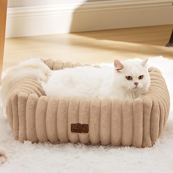 Bedsure Cute Dog Bed for Small Dogs & Cats - Washable Furry Puppy Beds, Rectangle Orthopedic Corduroy Fleece Pet Beds with Removable Zipper Cover, 20x19x6inches, Sandy Beige