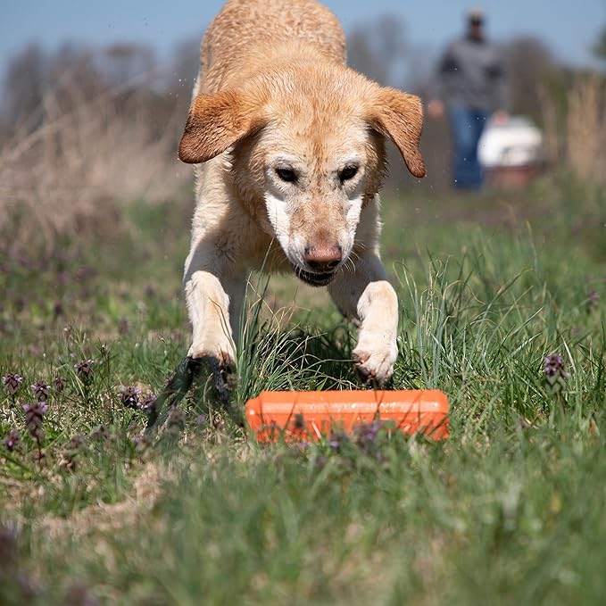 Momarsh Floating Dog Training Bumper | Durable Dummy with Easy Launch Rope | Advanced Waterfowl Hunting Retriever Dog Tool | Enhance Agility and Obedience
