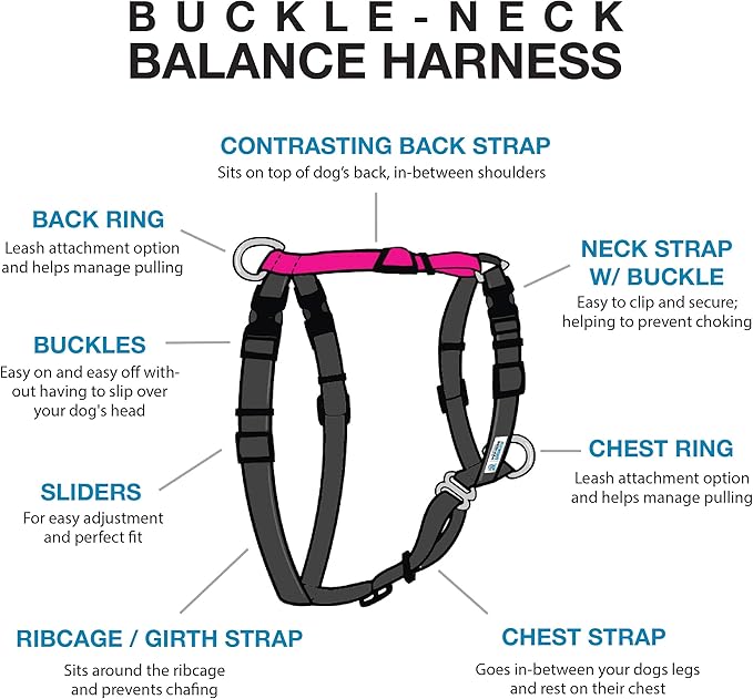 Blue-9 Buckle-Neck Balance Harness, Fully Customizable Fit No-Pull Harness, Ideal for Dog Training and Obedience, Made in The USA, Hot Pink, X-Small