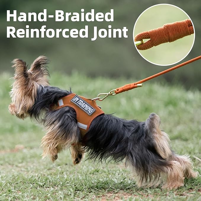 Durable Handwoven Dog Leash for Small & Medium Dogs, 5/16 inch Rope Lead with Anti-Tangle Swivel Clip, Soft & Lightweight, 5FT Long – Ideal for Daily Walking & Training (Carmel Brown)