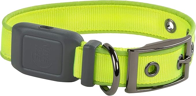 Nite Ize NiteDog Rechargeable LED Collar - Light Up Dog Collar with Durable Metal Buckle - Water-Resistant & Rechargeable Collar - Dog Supplies for Night Activities - Small, Lime