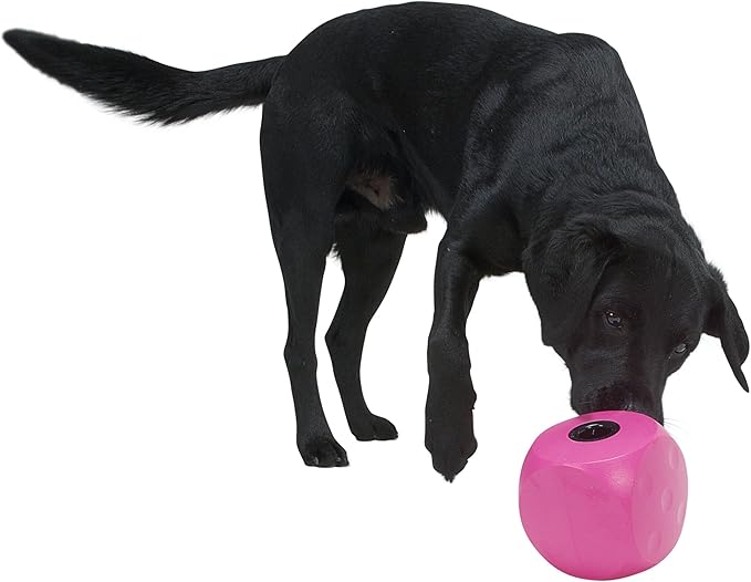 Kruuse Buster Mini Cube Feeder, Cherry - Dog Puzzle Toy, Treat Dispenser, Mental Stimulation, Small Breeds