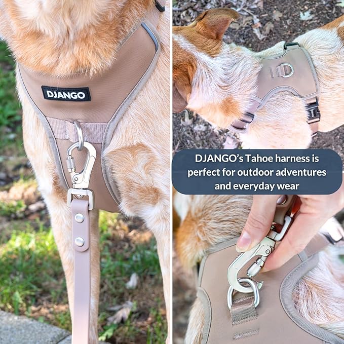 DJANGO Tahoe No Pull Dog Harness – Escape-Proof Dog Harness for Small Dogs with Front & Back Clips for Everyday Use – Adjustable, Padded, Reflective, Secure Fit, Easy On/Off – Sandy Beige, Small