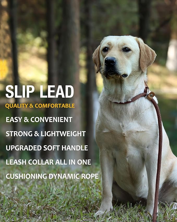 lynxking 8 FT Dog Leash Slip Lead 2 Pack Strong Heavy Duty Braided Dog Training Leash No Pull Training Lead Leashes for Medium Large and Small Dogs