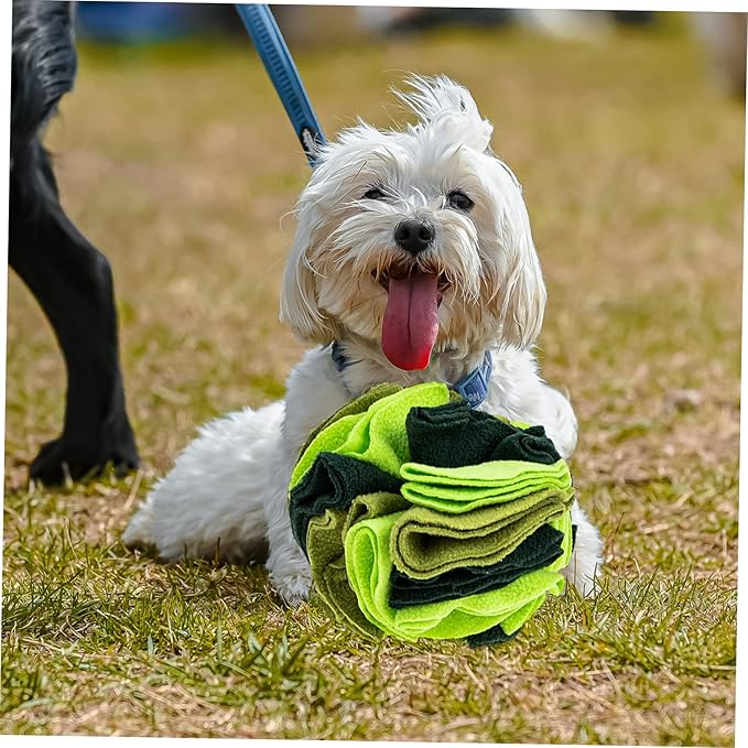 VICASKY Dog Ball Toys Interactive Sniffing Dog Toy Slow Feeder for Healthy Eating