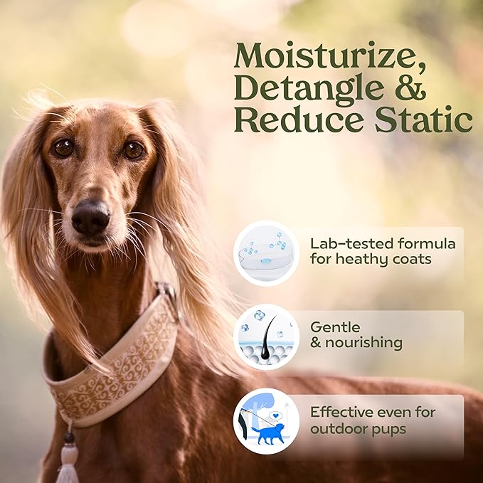 PAWFUME Dog Perfume Spray Long Lasting Scent for Grooming, Show Dog, 4-Pack – Keep Your Pup Fresh All Day – Hypoallergenic, Alcohol-Free, Detangling Formula – Moisturizing Pet Cologne Spray for Dogs
