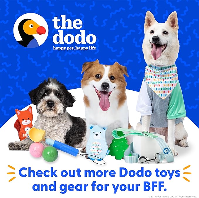 The Dodo Woodland Animals Stuffingless 2pc Dog Toy Set: Bear & Tree; No Plush Squeaky Bear Flattie Dog Toy + Rubber Tree Chew Toy; Durable Toys for Dogs (Pack of 2)
