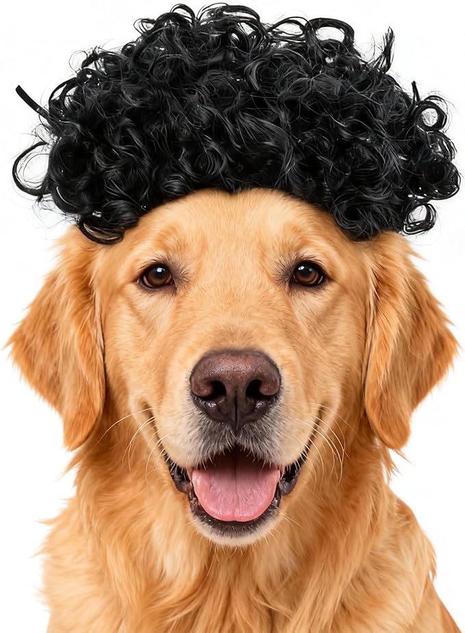 Funny Black Curly Dog Wig with Adjustable Strap - Pet Costume Accessory for Dog & Cat, Halloween, Christmas, Parties, Cosplay & Festivals - Fits Small Medium Large Dogs