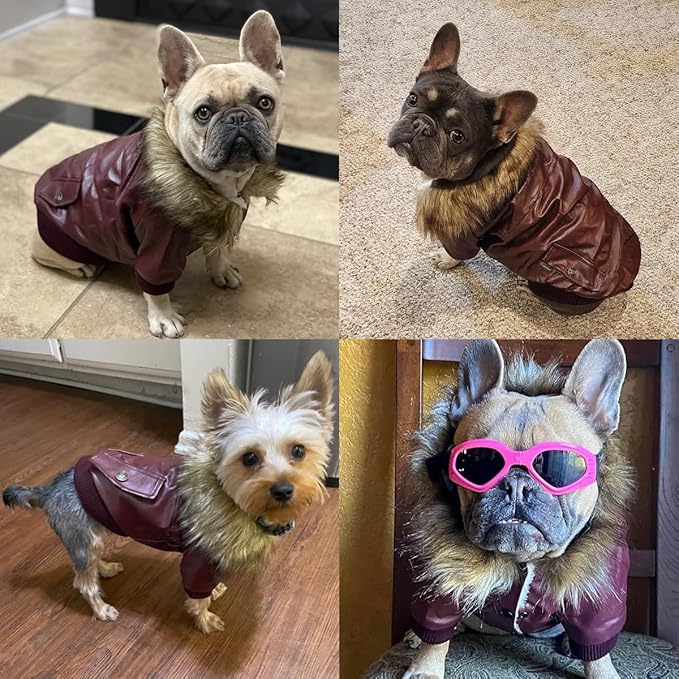 LESYPET Dog Leather Jacket for Small Dogs, Waterproof Dog Winter Jacket Puppy Coat with Fleece Lined, Ultra Warm Fur Collar Doggie Coat, Red X-Large