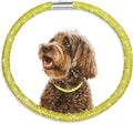 Stylish and Luxurious Diamond Dog Collar,Magnetically Absorbent Clasp,Full Diamond Design,Perfect for Wedding and Everyday Walking - Gold Yellow Diamons Necklace Collar for Medium Dogs,16''